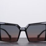 DANSHARIAN I Lunettes de soleil noires et translucides